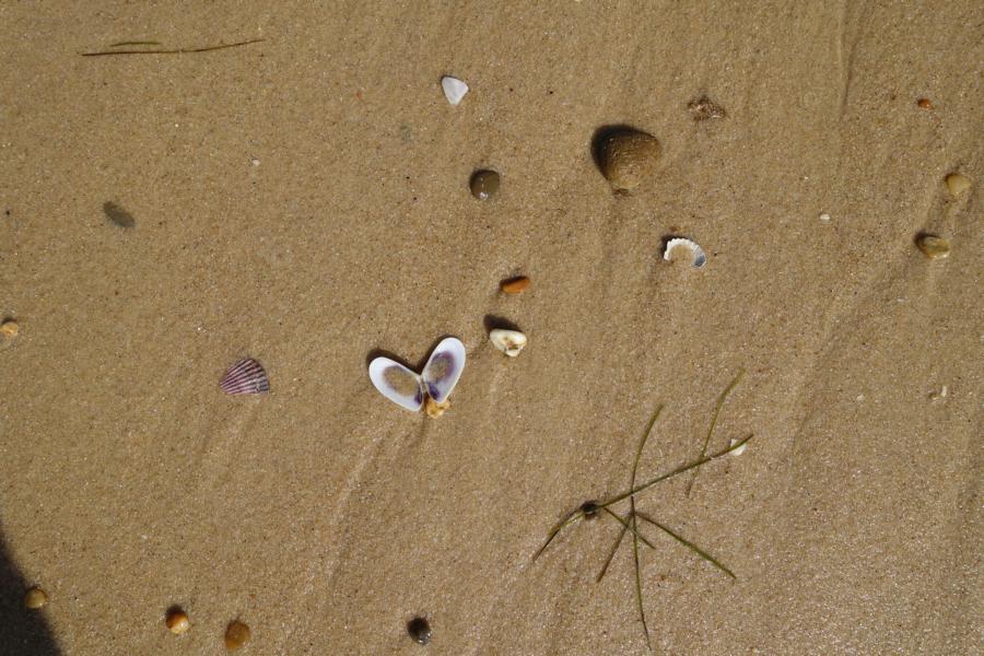 Herz am Strand